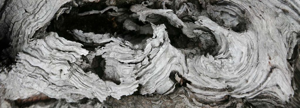 HolzWelle, Arbeit von Albert Gehret