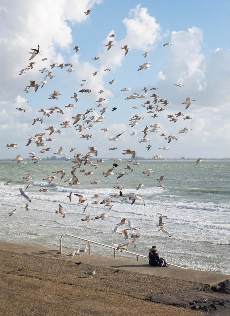 StrandVögel, Arbeit von Albert Gehret