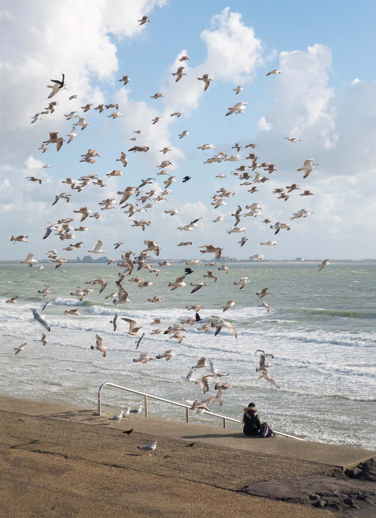 StrandVögel, fotomediale Arbeit von Albert Gehret