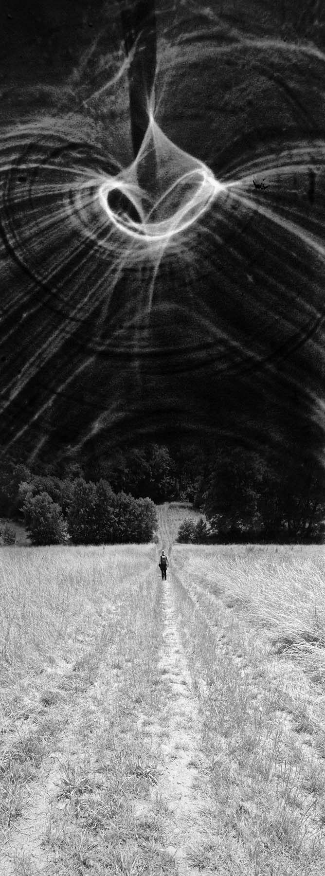 WiesenReflexion, fotomediale Arbeit von Albert Gehret